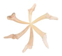 Garneck 6 Pezzi Collane da Uomo Ciondolo Dente di Squalo Fossile Regolabili Stile Etnico per Feste in Spiaggia e Uso Quotidiano