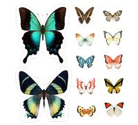 Garneck Adesivi Statici Per Vetri Anticolisione Con Farfalle Pellicola Pvc Riutilizzabili e Removibili Per Protezione Uccelli Su Finestre Interne Ed Esterne