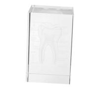 Garneck Anatomico del Dente in Figurina per Studenti Medicina Decorazione Scientifica per Ufficio e Studio