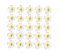 Garneck Fermagli Per Chioma Frangipane 25pcs 7cm Clip Per Chioma Da Donna Fiori Accessorio Per Matrimonio e Vacanze Estive