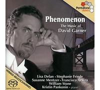Garner D. - Phenomenon: the Music of David Garner