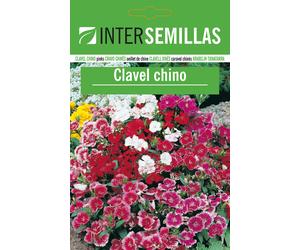 Garofano Cinese Colori Semi 150 Circa Dianthus Chinensis