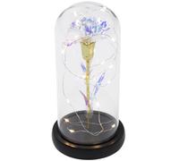 Garofano conservato in Eterno Flower Decor di Gift Mother's Day Home