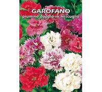 GAROFANO piumino doppio in miscuglio - SEMI