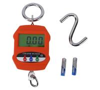 Garosa Bilancia da Appendere Mini, Bilancia Digitale con Display LCD, 300