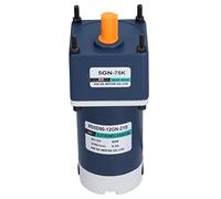 Garosa Motore a Ingranaggi a Vite Senza Fine 12V DC, Regolabile CW CCW | chiuso in acciaio legato, include regolatore di velocità, uscita a torsione elevata da 90 W, per distributore automatico