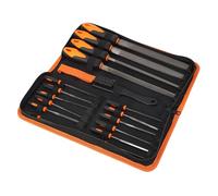 Garosa Set di Lime 18 Pezzi, Kit di Lime Manuali con Ago Professionale in Acciaio T12 con Custodia Portatile per Legno, Metallo, Ceramica, Pelle, Vetro