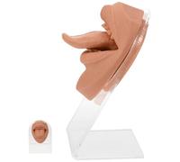 GAROZATION Bocca Umana in Silicone per Piercing Orale con Lingua e Labbro, Flessibile per Pratica e Lezioni Simulate, Accessorio per Piercing Finti e Allenamento