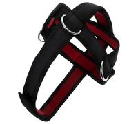 GAROZATION Cinghia Allenatore Testa e Collo per Esercizi di Rinforzo Muscolare Vestibilità Regolabile per Uso Sportivo e Riabilitativo