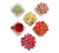 GAROZATION Set 6 Pezzi Piante Grasse Finte in Ceramica Mini Succulente Artificiali per Decorazione Scrivania Ufficio senza Annaffiatura Colore Assortito