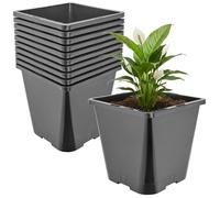 Garronda Set da 10 Vaso Plastica Alto 20 x 20 x 23 cm (5,6L) per Piante Quadrato con Fori di Drenaggio Vasi Plastica per Coltivazione e Rinvaso Interno ed Esterno Serra Giardino Nero GD-0201