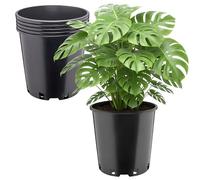 Garronda Set da 5 Vaso Plastica Ø26 x 26 cm (12L) per Piante Alto Rotondo con Fori di Drenaggio Vasi Plastica per Piante Coltivazione Interno ed Esterno Serra Giardino Resistent Nero GD-0203