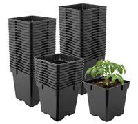 Garronda Set da 50 Vasetti per Piantine 16 x 16 x 16 cm (3L) in Plastica Quadrati con Fori di Drenaggio Vasi da Semina Vaso per Piante Interno ed Esterno Serra Giardino Nero GD-0199