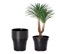 Garronda Vasi per Piante Rotondi in Plastica da Esterno e da Interno per Fiori e Giardini GD-0025 (10 Pezzi - Nero, ⌀ 41,5 cm H 30,5 cm)
