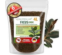 Garten Lux Ficus Terra 4L - 6 in 1 Terra speciale senza torba - Contro le zanzare lutto - Per Ficus Benjamina, elastico, lyrata, pumila, carica, microcarpa, Alii, benghalensis e molto altro ancora