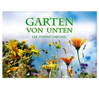Garten von unten. Ein Perspektivwechsel (Wandkalender 2026 DIN A2 quer), CALVENDO Monatskalender: Pflanzen aus der Froschperspektive