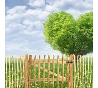 Gartentor Legno Kit Porta Giardino Recinzione Cantiere Staketenzaun