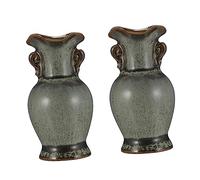 GARVALON 2pezzi Vasi Decorativi Ceramica Per Fiori Eleganti Vasi Idroponici Per Decorazioni Domestiche e Ufficio Perfetti Per Tulipani e Fresie Per Amici e Famiglia