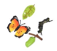GARVALON 3 set Modelli Evolutivi Farfalla Giocattoli Cognitivi Ciclo Vita Animale Didattici per Apprendimento Naturale