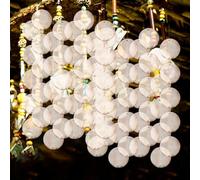 GARVALON Conchiglie Decorative Rotonde Naturali Doppio Foro, 50 Pezzi Da 50 Mm Per Progetti Artigianali Come Lampade e Campanelli a Vento, Adatte a Camera e Soggiorno