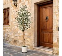 Garvee Alberi di Ulivo Artificiali 182,88 cm, Ulivo Finto con Tronco in Vero Legno e Frutti Realistici, Pianta Artificiale Alta da Interno con Vaso Bianco, Decorazione per Casa e Ufficio