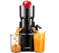 GarveeHome Estrattore di succo Slow Juicer, 250 W, spremuto a freddo, per | Spremiagrumi compatto per succhi detox e frullati: filtro in acciaio inox da 0,2 mm, facile da pulire, motore silenzioso