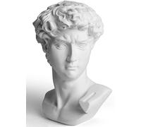 Garwor Statua di David a forma di testa di Michelangelo, busto da 15,2 cm, classico busto greco romano, decorazione per casa e ufficio