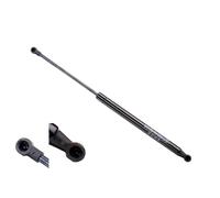 Gas Molla a Compressione Ammortizzatore 1x Adatto A per Fiat 500 312 10/2007-