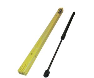 Gas Molla Tronco triscan Fiat Croma