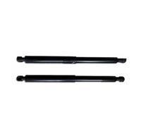 Gas Portellone Posteriore Per Chevy Per Camaro 2010-2023 Barre Idrauliche Sollevamento Per Bagagliaio Supporto Per Apertura Con Chiave Accessori Per Auto Ammortizzatori(17-21 trunk lift set)