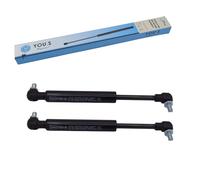 Gas Struts Per CASE IH / Steyr - Parabrezza - 1-99-976-064 2 Pezzi YOU.S