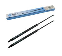 Gasdampfer Gaspressioni Per Mauser 2 Pezzi - 6-100.28.500 - YOU.S Original