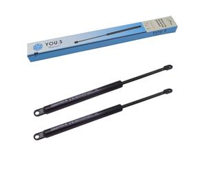 Gasdampfer Gaspressori Per Mauser 2 Pezzi - 6-100.25.360 - YOU.S Original