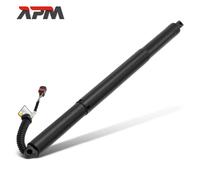 Gasfeder Powerlift Dämpfer Posteriore Sinistro O Destro Per Audi E-Tron GEA