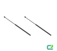 Gasfeder-Set Portellone 636,5mm STABILUS/Lift-o-Mat per Citroën C4 Picasso