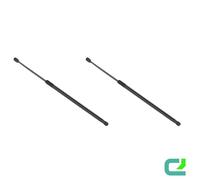 Gasfeder-Set Portellone 641,5mm STABILUS/Lift-o-Mat per Renault Espace