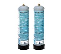 GASFRIGO® - Bombola CO2 acquario 600 gr. m10x1 - usa e getta - con supporto in plastica - made in Italy - Confezione da 2 bombole