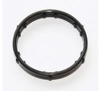 Gasket ELRING 236.090, Flangia Del Refrigerante Per Audi, AUDI (FAW)