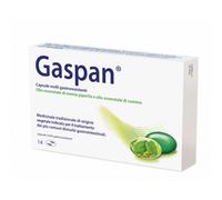 Gaspan 14 Cps Molli Gastrores 90 Mg + 50 Mg