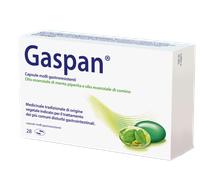 GASPAN 28CPS MOLLI gastroresistenti