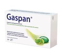 Gaspan Trattamento Disturbi Intestinali 28 Capsule Molli
