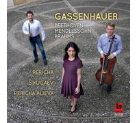 Gassenhauer: Brahms, Beethoven, Mendelssohn - AA.VV. (Audio Cd)