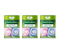Gastro Amp 30 Capsule 3x30 pz Capsule