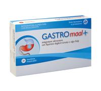 GASTRO MAAL + 20TAV
