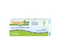 GASTROCOL NAUSEA GOMME 34G