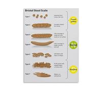 Gastroenterology Poster Bristol Stool Scale Chart Digestive System Anatomy Wall Art for Clinic Office Waiting Room(Framed,08x12inch(20x30cm))