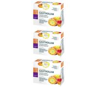 Gastrolum Stick 3x14x10 ml Stick