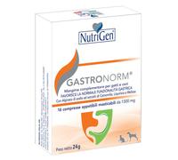 GASTRONORM 16CPR NUTRIGEN