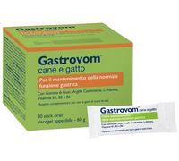 GASTROVOM 30 Stick