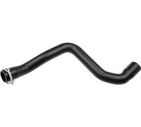 GATES 05-2084 Flessibile radiatore Superiore Compatibilità con FORD Focus II Hatchback DA, HCP, DP C-MAX DM2 Focus C-Max DM2 Focus II Station Wagon DA, FFS, DS FOCUS II Cabriolet